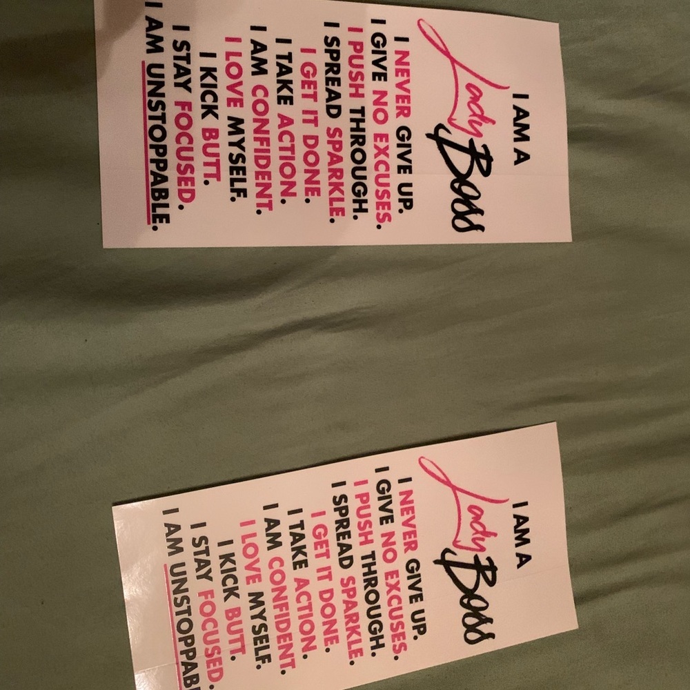 SOLD!!! Ladyboss decals stickers
